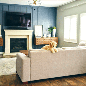 LC-200 Pet Immunity PIR Motion Detector